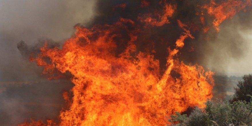 Gönyeli’de yangın: Makilik alan yanarak zarar gördü