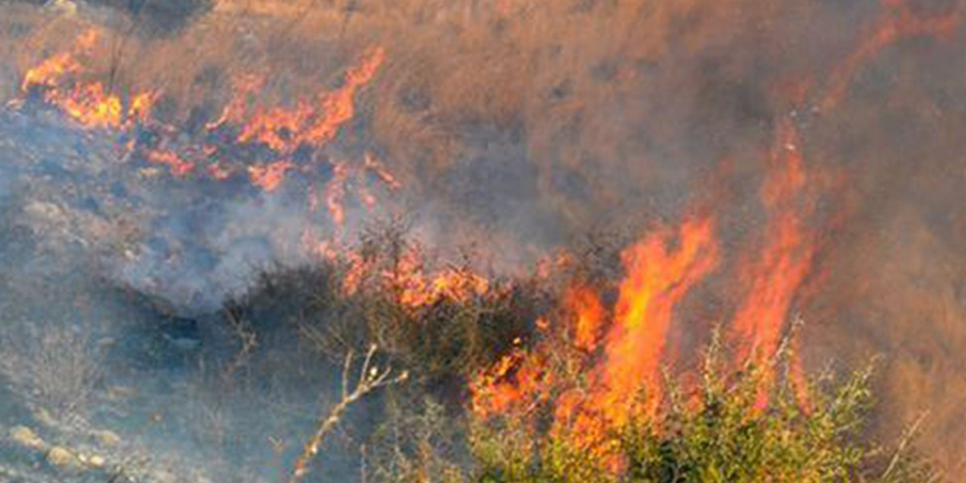 Larnaka'da bulunan Vuda Atış Alanı'nda yangın çıktı