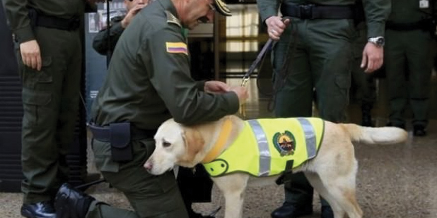 Polis köpeğinin başına para ödülü koydular