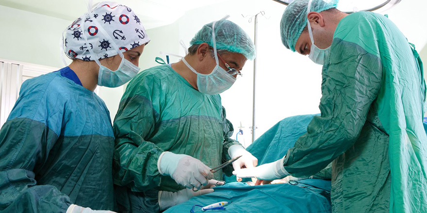 ‘Organ nakli’ 37 kişiye umut oldu