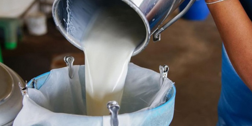 Süt Ürünleri İmalatçıları Birliği'ndan önlem çağrısı