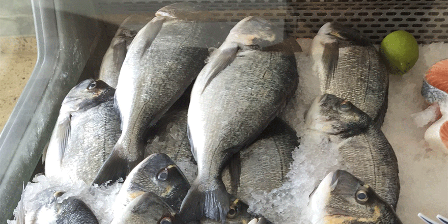 "Çipura balığı konusunda tüketici yanıltılıyor"