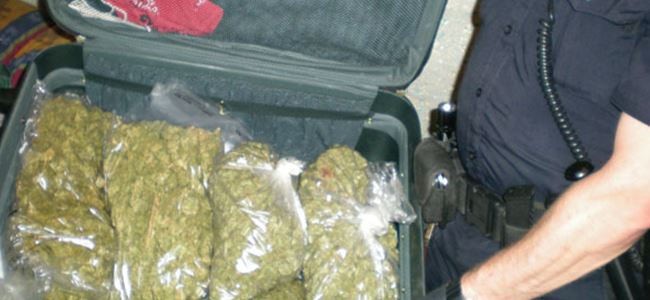 29 kilo marijunayı bagajlarında geçirmeye çalıştılar