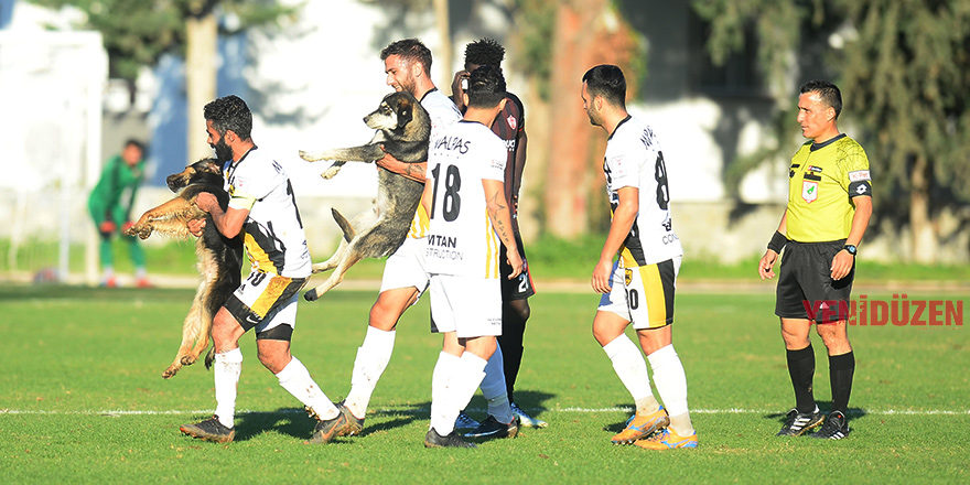 Köpekler sahaya girerse…