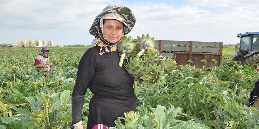 Mevsimlik tarım işçisi; Fatma Kargı