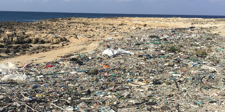 Ronnas Sahili katı atıklardan temizleniyor