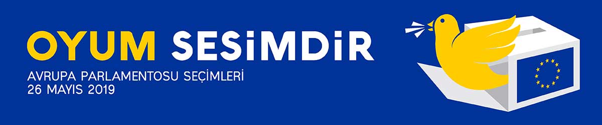 Demokrasiyi Tasarladılar!