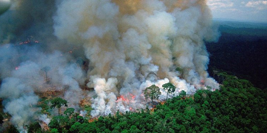 Amazon Ormanları için anlaşma imzalandı