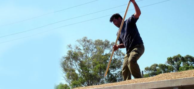 116 üreticiye, 207 bin 480 TL tazminat ödendi