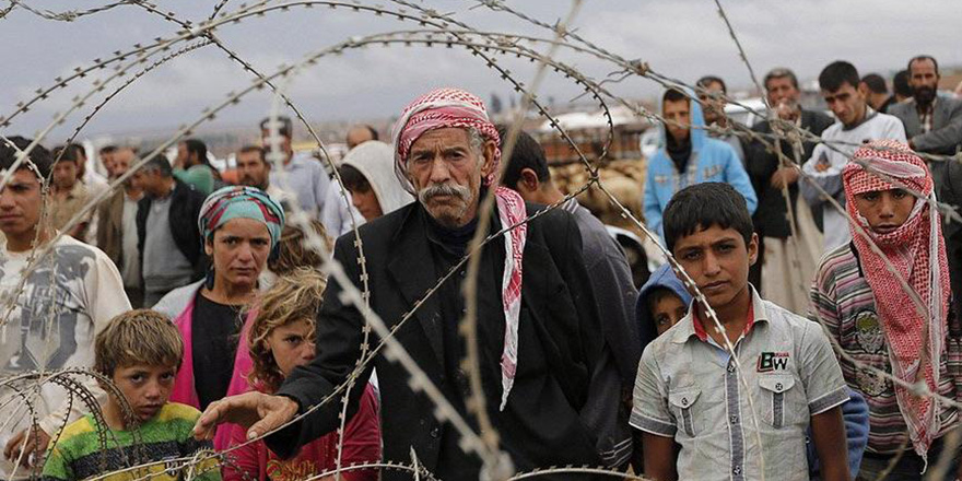 Suriyeli Göçmenler, Balon Balıkları ve Küresel Isınmalar