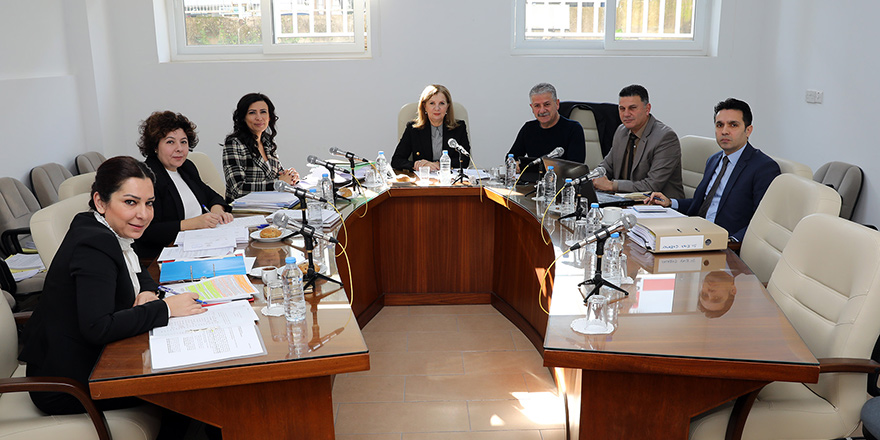 Dilekçe ve Ombudsman Komitesi toplandı