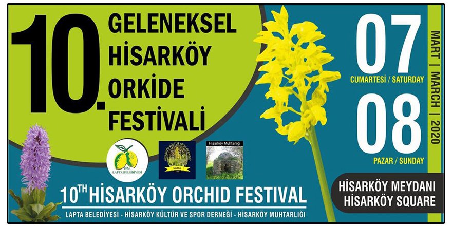 Hisarköy'de Orkide Festivali yapılacak