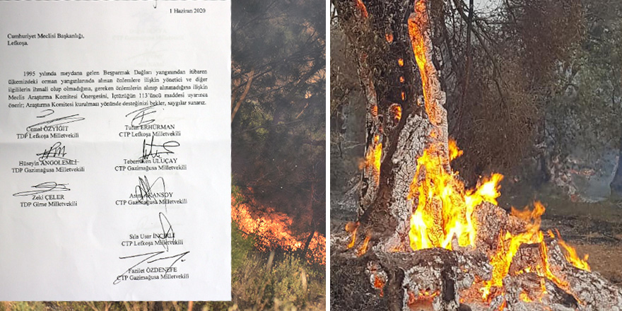 CTP-TDP: 1995'ten itibaren tüm orman yangınları ARAŞTIRILSIN