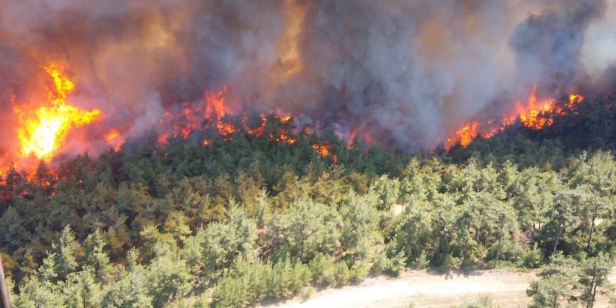 Orman Dairesi, yangın konusunda uyardı