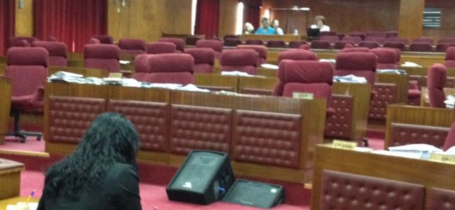 BÜTÇE MARATONU BAŞLADI