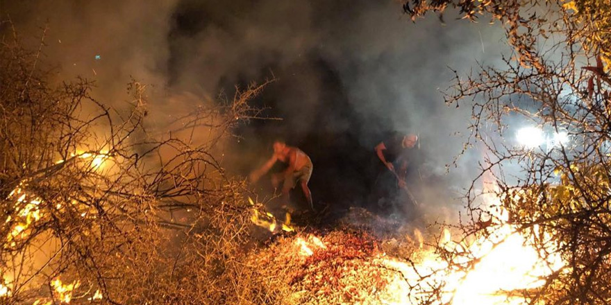 Bedis Piknik alnındaki yangına vatandaş müdahale etti