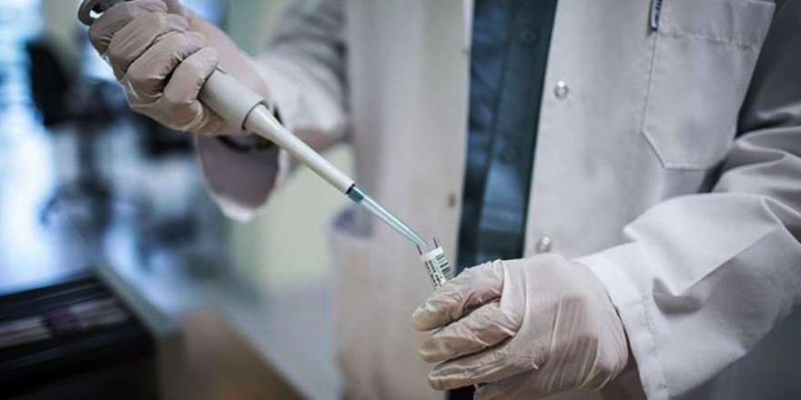 Rusya, Coronavirüs aşısını 12 Ağustos'ta onaylayacak