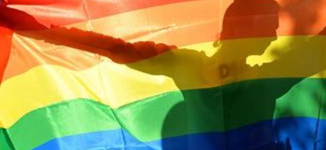 Hindistanda Eşcinsellik suç kaldı