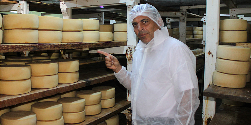 Koop 'Delikli Peynir' ihraç edecek