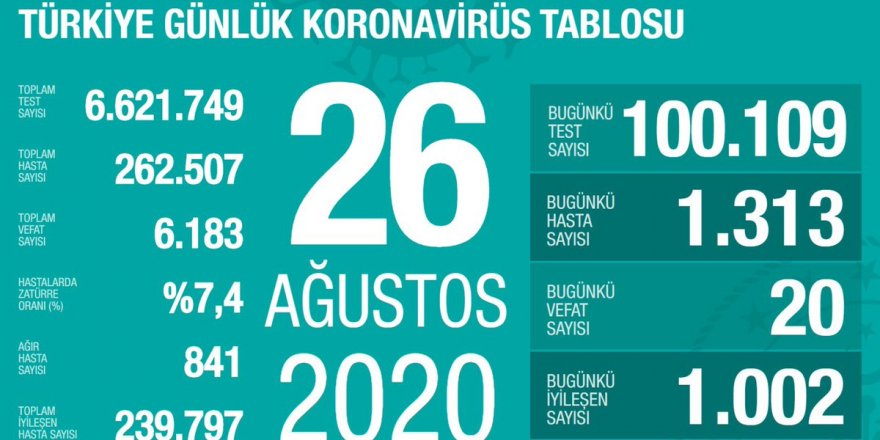 Türkiye'de Coronavirüs: 20 kişi hayatını kaybetti, 1313 yeni tanı kondu