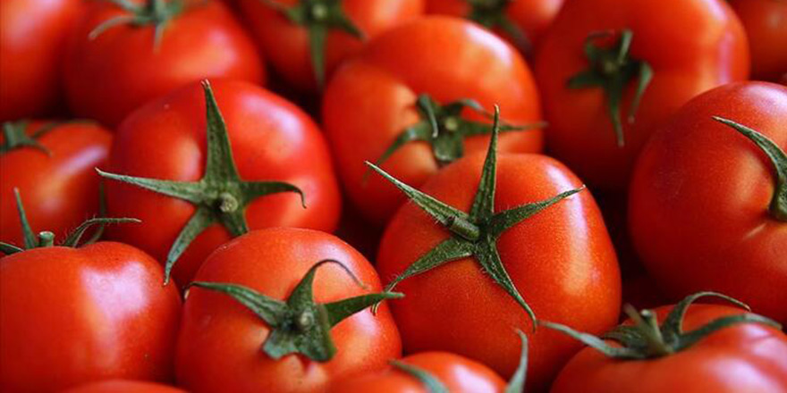 Yerli domateste limit üstü kalıntı