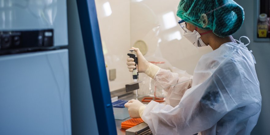 Avrupa İlaç Ajansı Pfizer ve BioNTech'in koronavirüs aşısını onayladı
