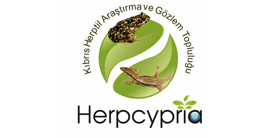 Kıbrıs Herptil Araştırma ve Gözlem Topluluğu kuruldu