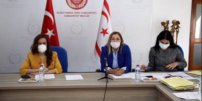 'Kültürel İşbirliği Protokolü' Yasa Tasarısı meclise sevk edildi