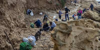 Kuzey Kıbrıs Kaplumbağaları Koruma Derneği halka çağrı yaptı