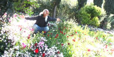 Şimdi doğanın gösteri zamanı!