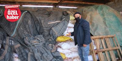 Patates buzlukta kaldı