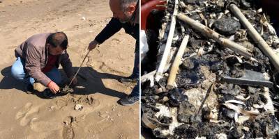 Alagadi sahilindeki katran temizlendi