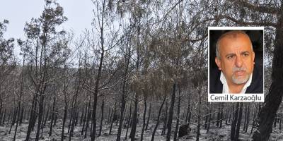 Kuzeyde ormanlık alan sadece %21