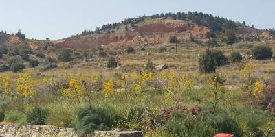 Güngör halkı, yeni taş ocağına karşı eyleme gidiyor