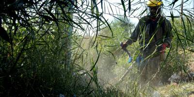 Temizlik yapmayan mal sahipleri ücretlendirilecek