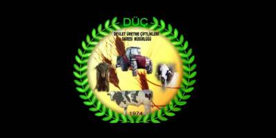 50 baş oğlak satışa sunulacak