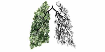 Kovid Dersleri: Ortak Yaşam Döngümüzün Keşfi