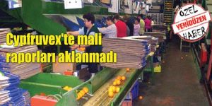 Cypfruvex dosyası SAVCILIKTA