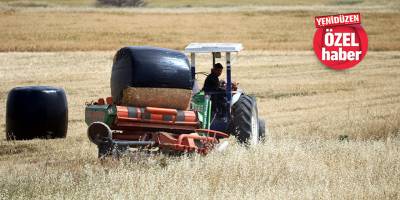 Mesarya’da çiftçiler dertli:    “Sezon kurak geçti, ekinler büyümedi…”   