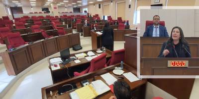 Muhalefet Meclisi (!)