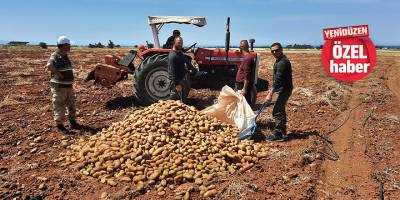 “Emeğimiz toprağa gömüldü”