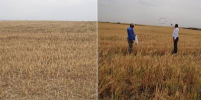 Kuraklıkla ilgili çalışmalar başladı