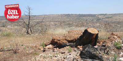 Yandı, bitti, kül oldu…  Yine yaz, yine endişe