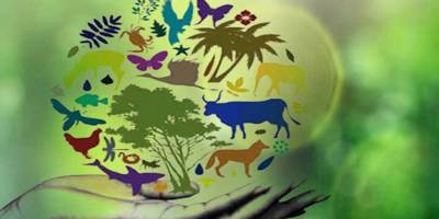 Çevre Koruma Dairesi’nden, Dünya Biyolojik Çeşitlilik Günü’ne için etkinlikler