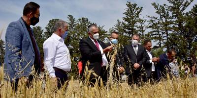 İlk tescilli arpa Beşparmak’ın ilk hasadını Çavuşoğlu yaptı