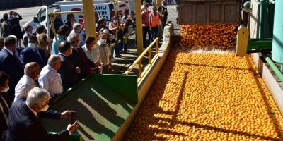 115 bin ton ürün 60 milyon TL ciro yapıldı