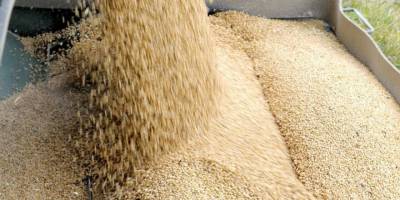 Yemlik arpa fiyatlarında artış yapıldı