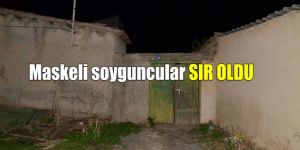 Doğancıda SOYGUN