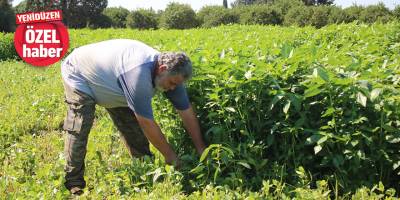 “Bu işi yapanlar kültür devam etsin diye yapıyor”