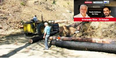 Orman yangınlarının sebepleri